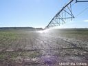 Vazão do emissor aumenta da base para o balanço para manter a mesma precipitação ao longo da área irrigada.