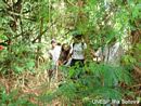 Na UNESP Ilha Solteira, aula prática é realmente prática... e lá vamos nós para o meio do mato...