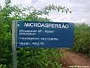 Identificaçao do tratamento microaspersão