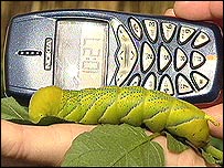 Caterpillar with mobile phone
