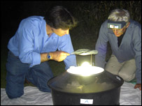 A mercury vapour moth trap